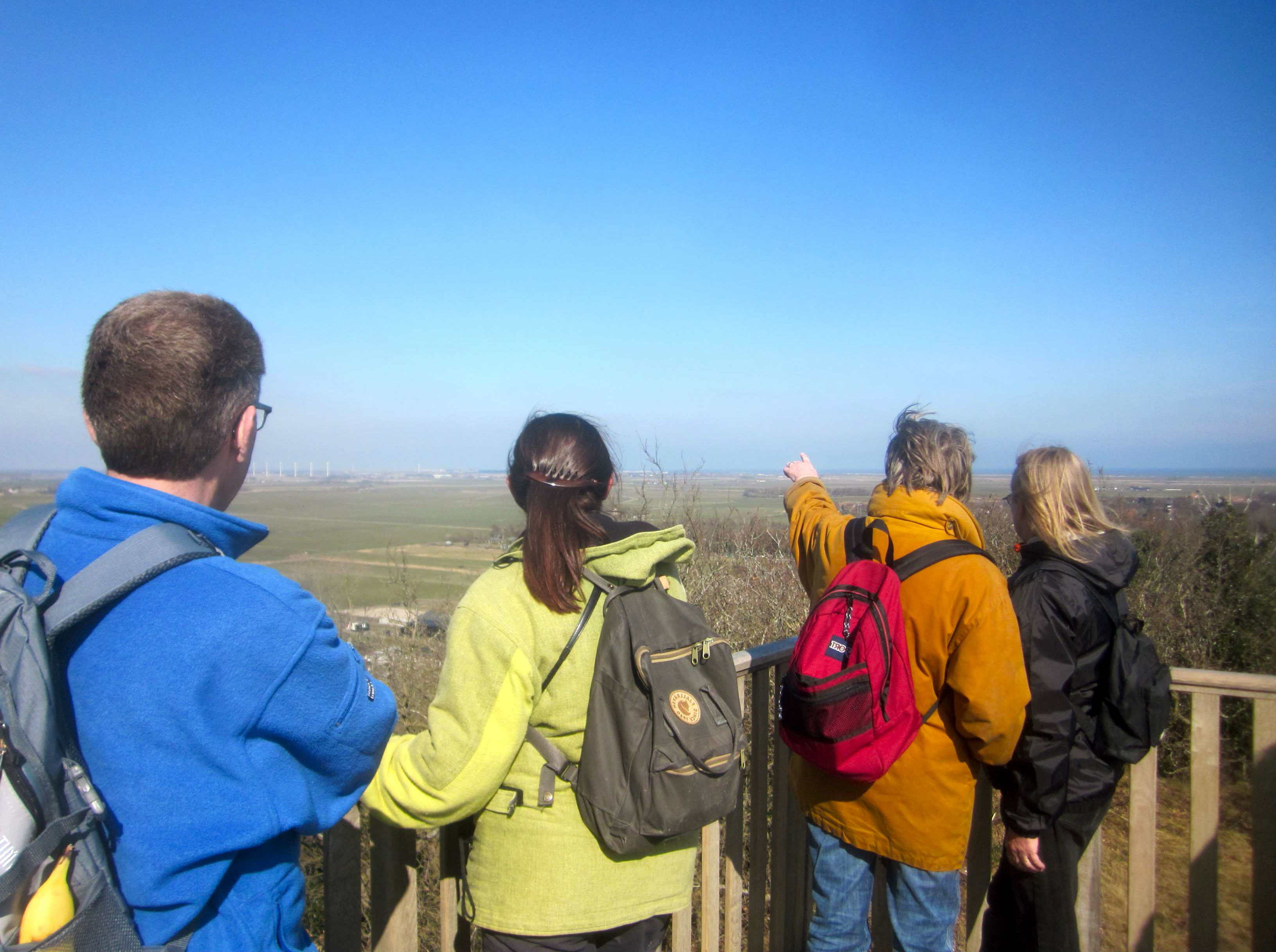 Hoge Duinen - Schoorl.jpg