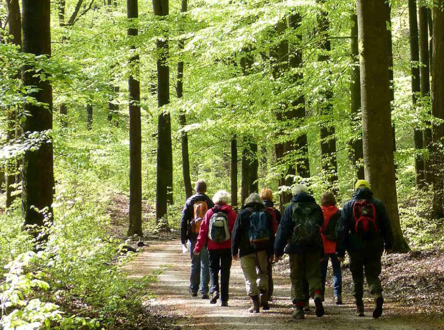wandelroute De Veentjes.jpg