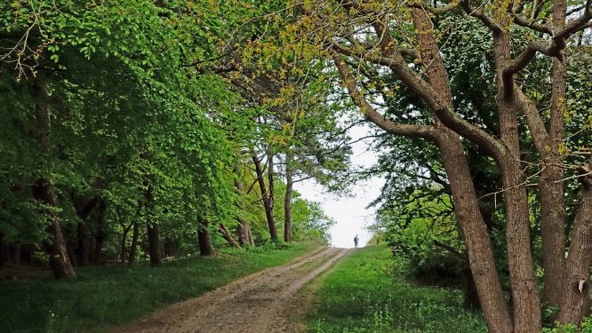 De Verbeelding.jpg (1)